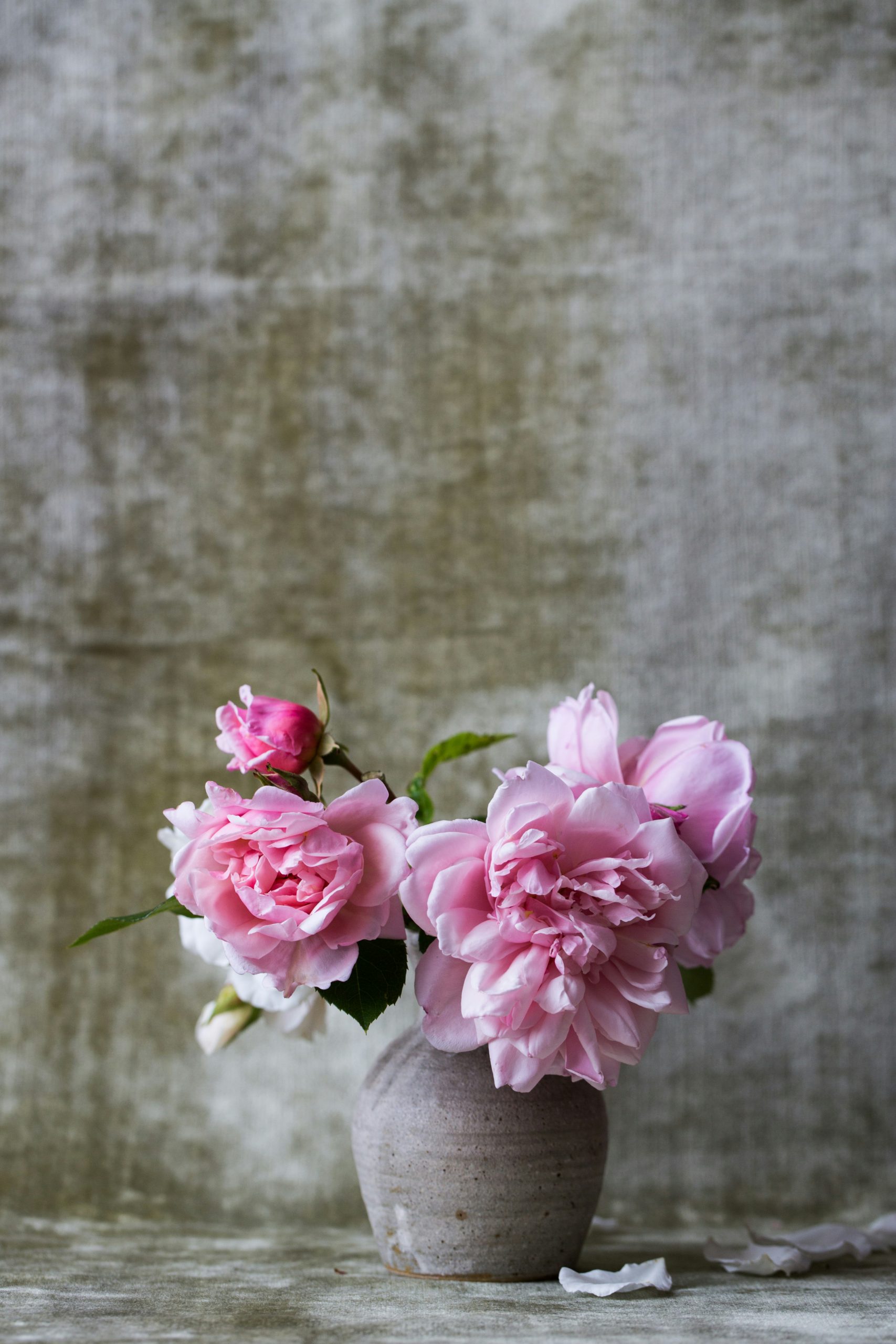 alex-seinet-8dmtbpJJJ7k-unsplash
