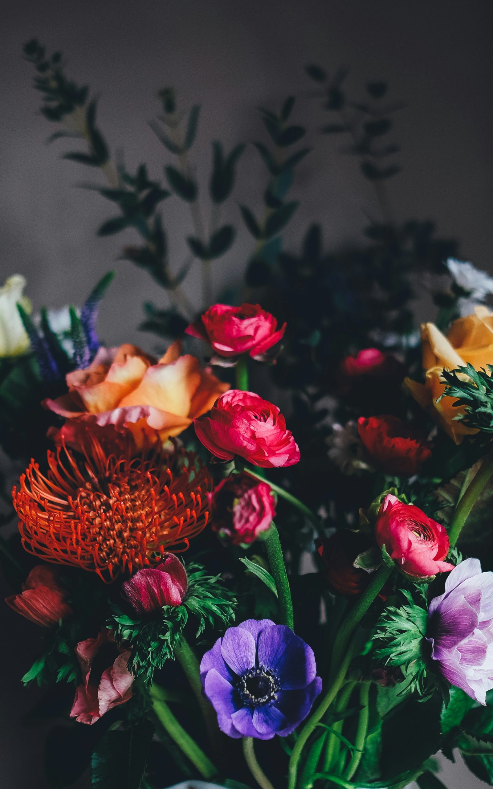 annie-spratt-WBpr_yH0Frg-unsplash