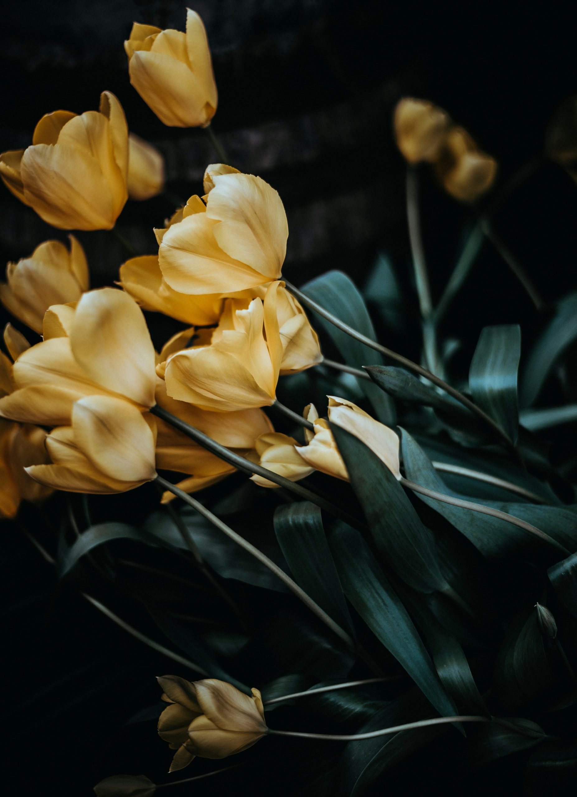 annie-spratt-e92dhXE8PUg-unsplash